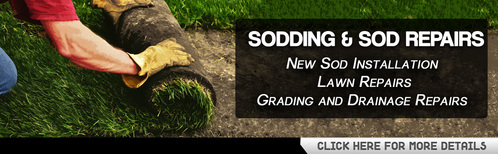 Kitchener Waterloo Sod, Sodding and sod repairs in cambridge and guelph