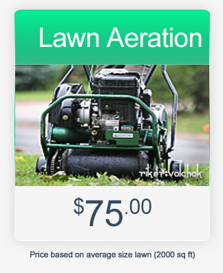 Aeration lawn care care by riker volchok construction in kitchener waterloo cambridge guelph