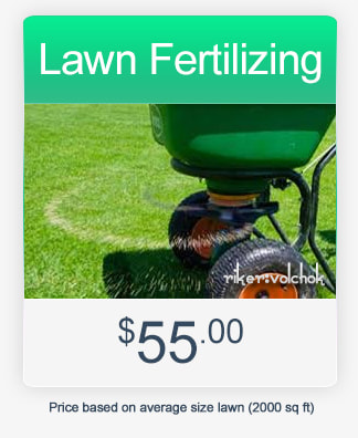 fertilizing lawn care care by riker volchok construction in kitchener waterloo cambridge guelph