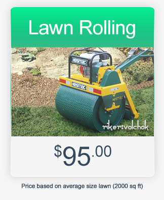 lawn rolling and lawn care care by riker volchok construction in kitchener waterloo